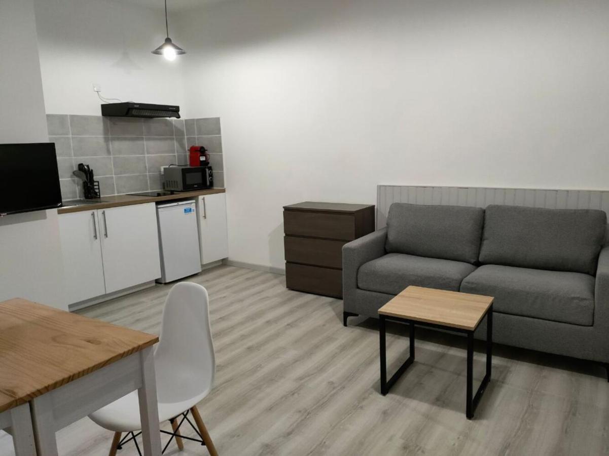Апартаменти Saint Etienne Studio Lot 8 Тулуза Екстер'єр фото