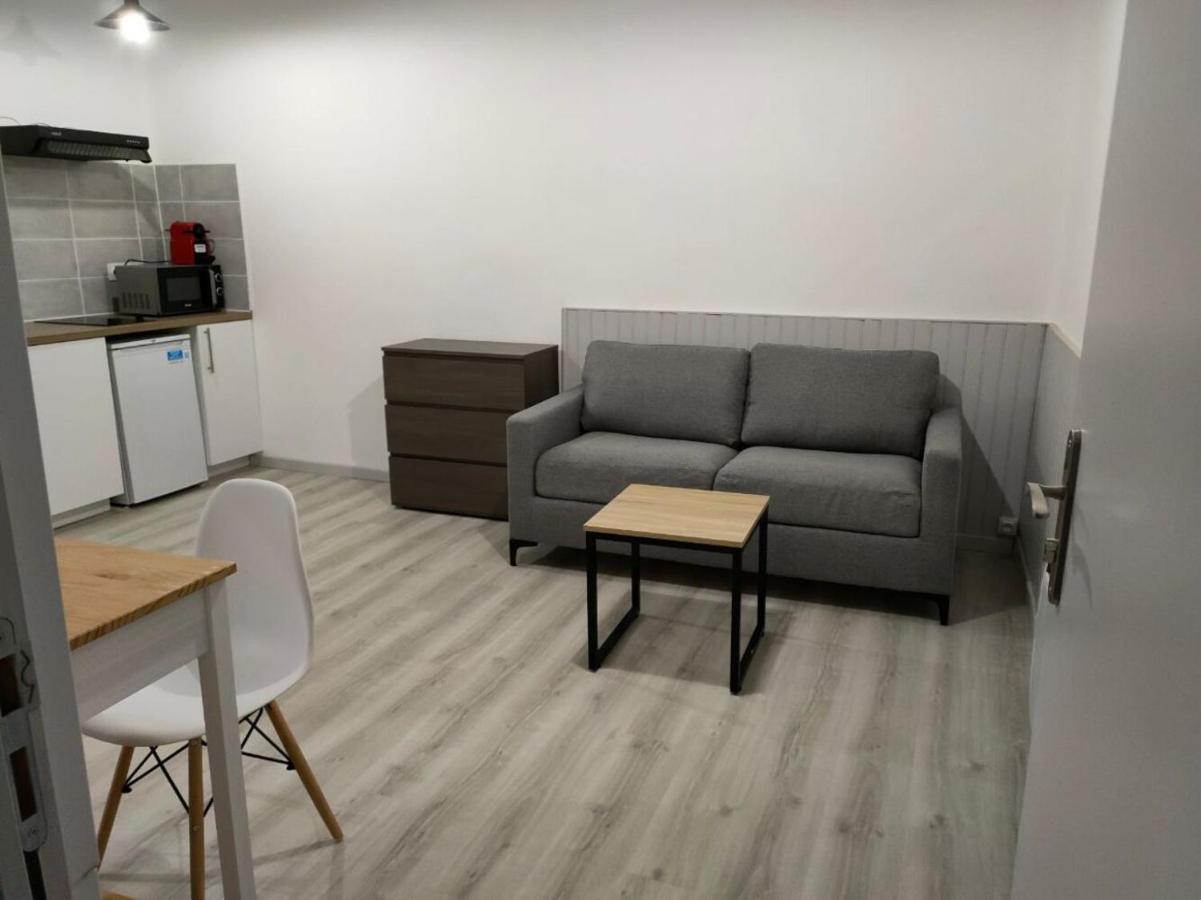 Апартаменти Saint Etienne Studio Lot 8 Тулуза Екстер'єр фото